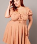 Brown Corset Puff Sleeve Mini Dress