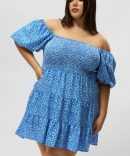 Blue Ditsy Shirred Bodice Puff Sleeve Mini Dress