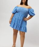 Blue Ditsy Shirred Bodice Puff Sleeve Mini Dress