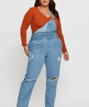 Blue Denim Overall