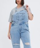 Denim Overall Denim