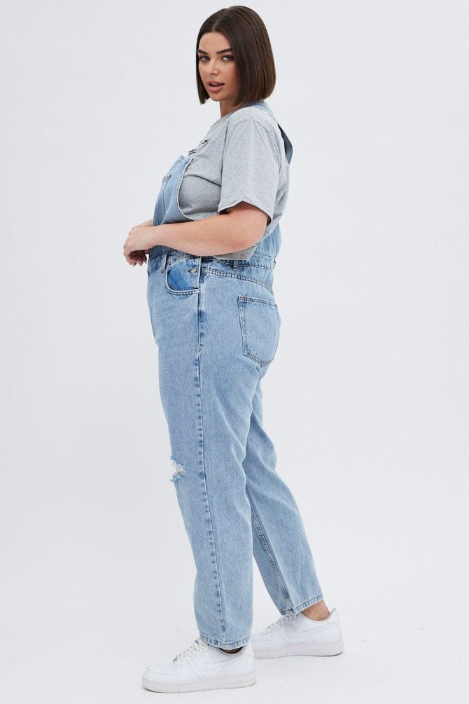 Denim Overall Denim