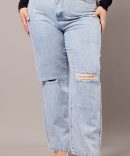 Denim Mom Jeans High Rise Distressed